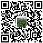 微信二维码